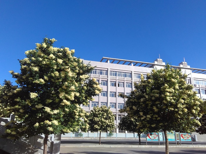 校園風光
