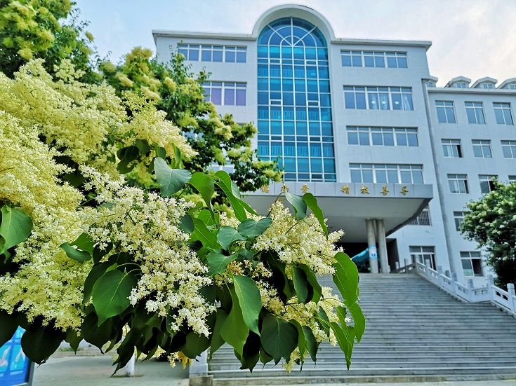花香滿校園