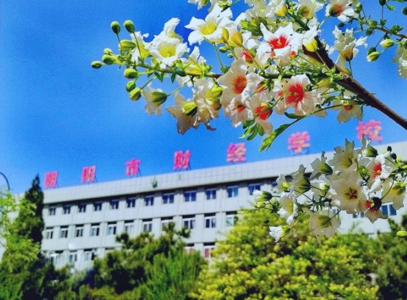 花香滿校園
