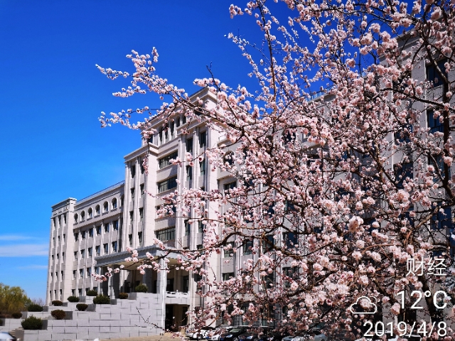 花香滿校園